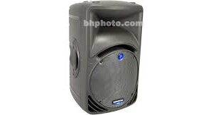 Haut-parleur Passif Mackie C300z